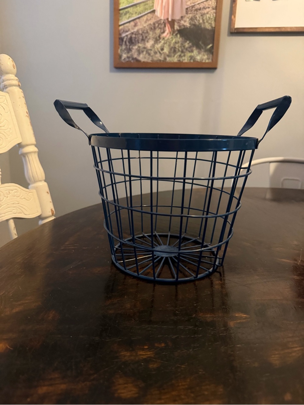 Metal Wire Storage Basket with Handles